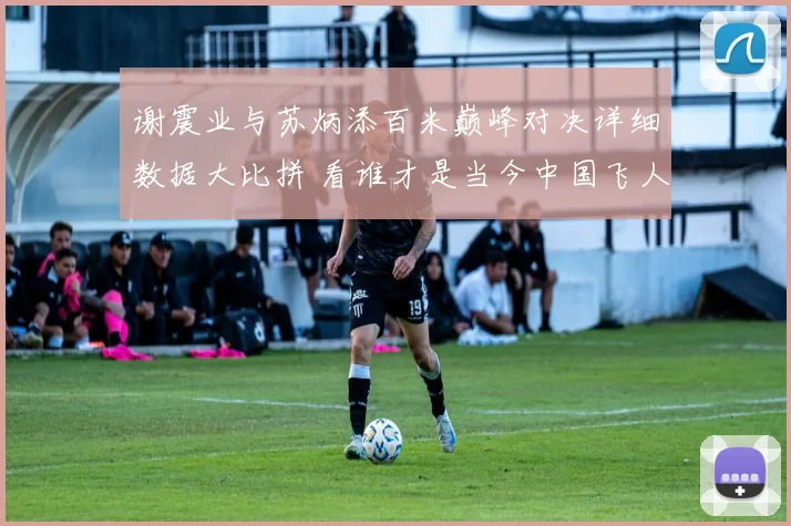 谢震业与苏炳添百米巅峰对决详细数据大比拼 看谁才是当今中国飞人